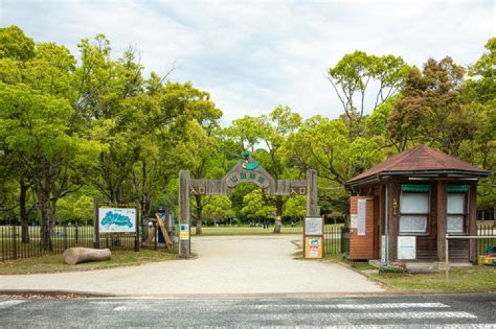 黒崎おいらん：北九州に息づく花魁文化の歴史と見どころ